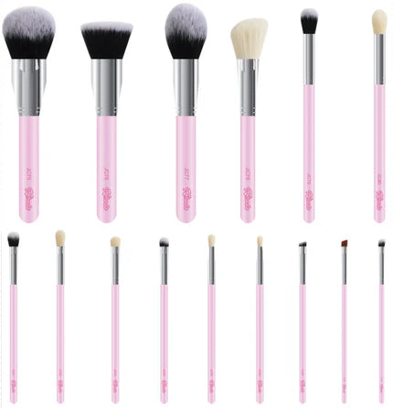 15 Piece Brush Set